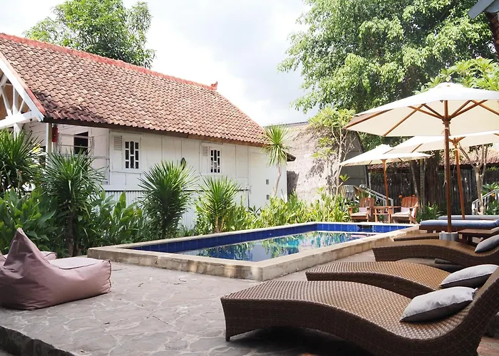 Buena Vibra Bungalows & Villa, Ohia Ardi Beltza