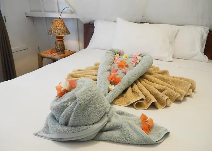Buena Vibra Bungalows & Villa, Ohia Ardi Beltza