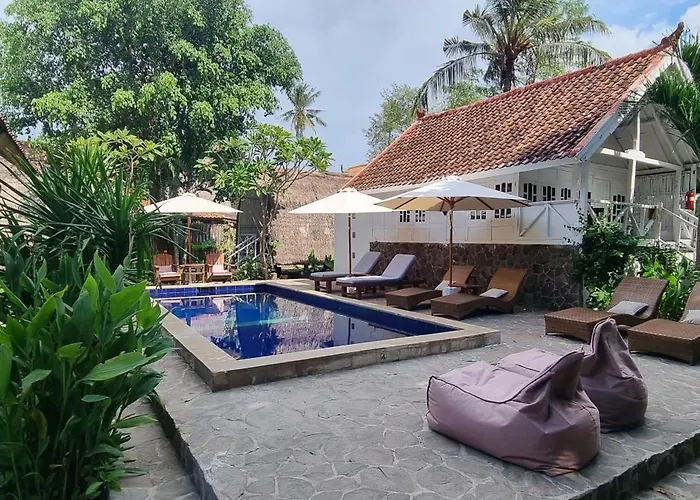 Buena Vibra Bungalows & Villa, Ohia Ardi Beltza