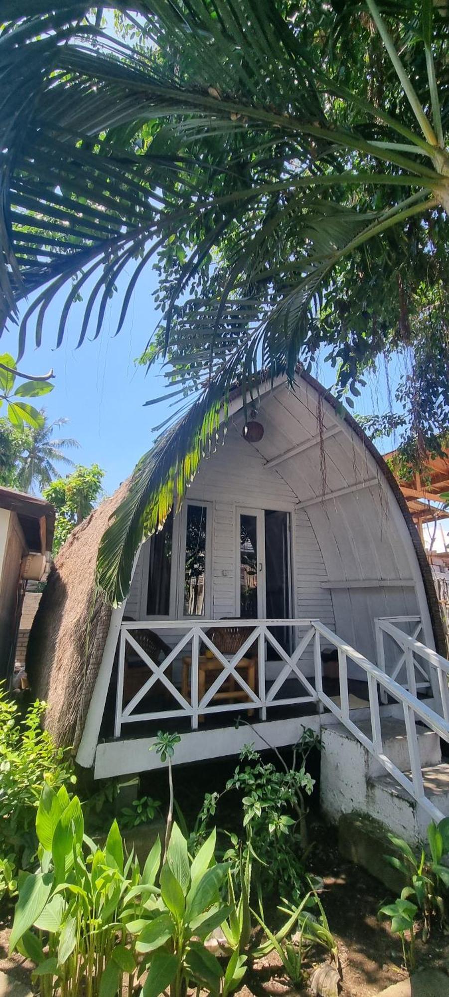 Buena Vibra & Villa, Ohia Ardi Beltza