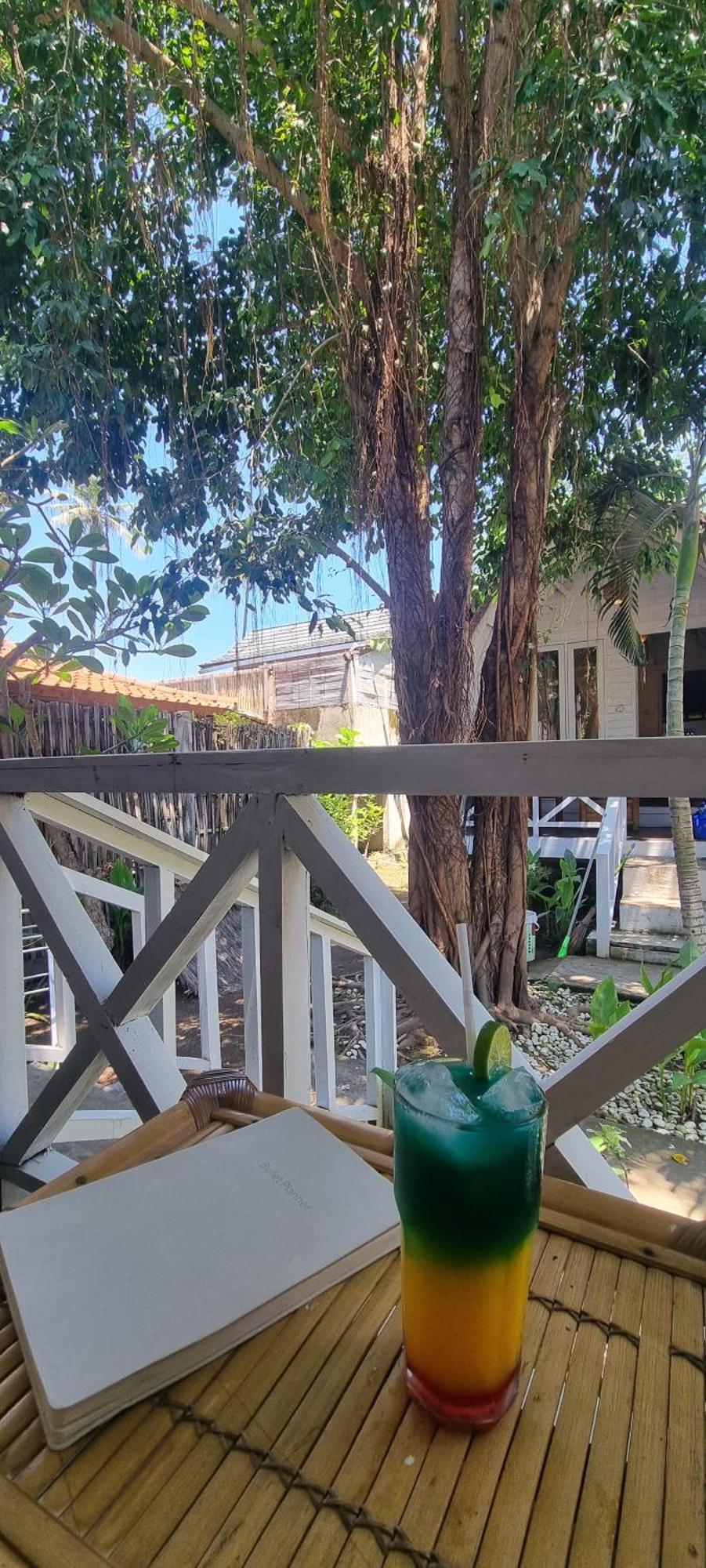 Buena Vibra & Villa, Ohia Ardi Beltza Gili Air