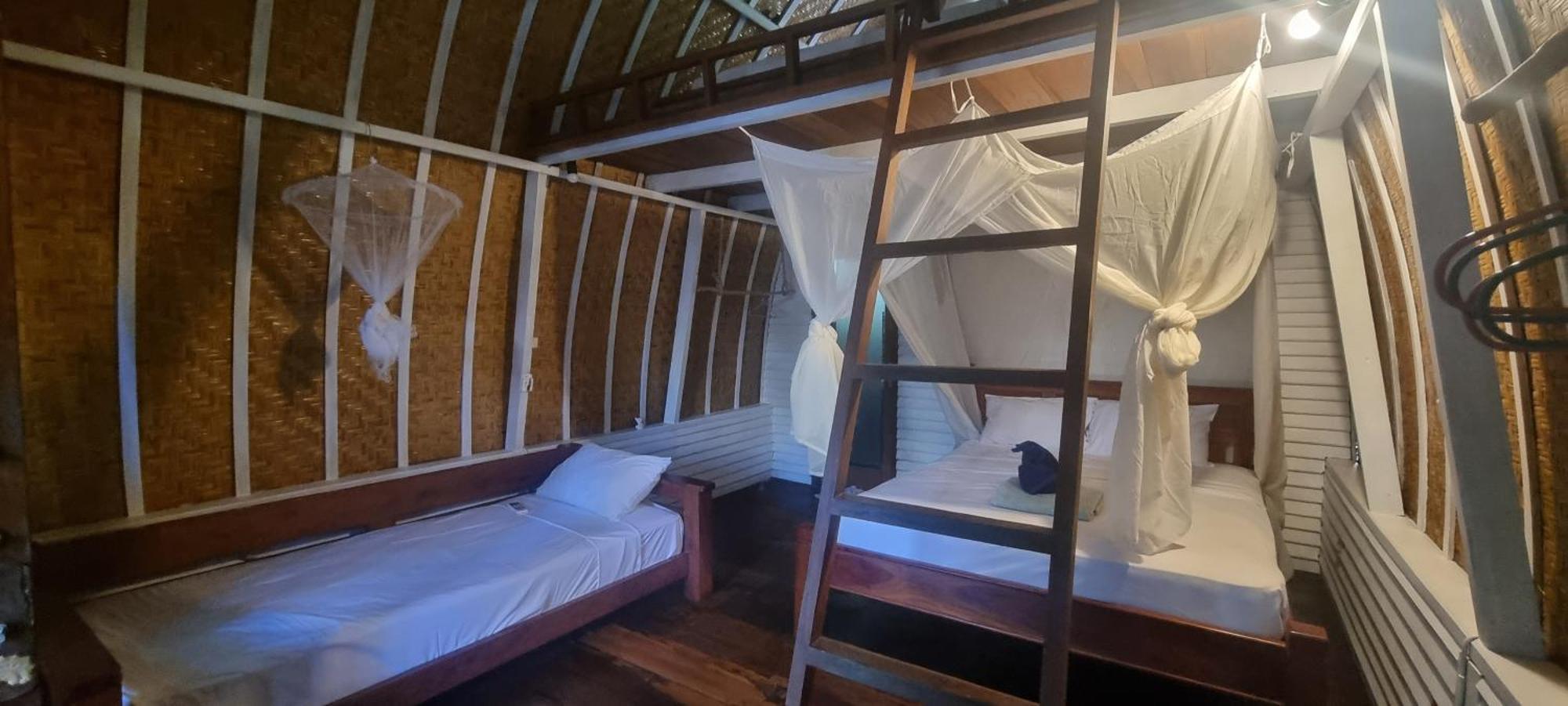 Buena Vibra & Villa, Ohia Ardi Beltza 3*
